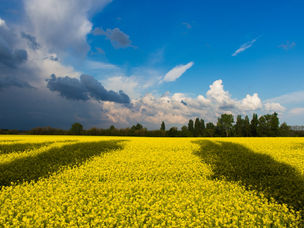 Nå satser vi på Ukraina