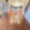 fullsizeoutput_cdb.jpeg