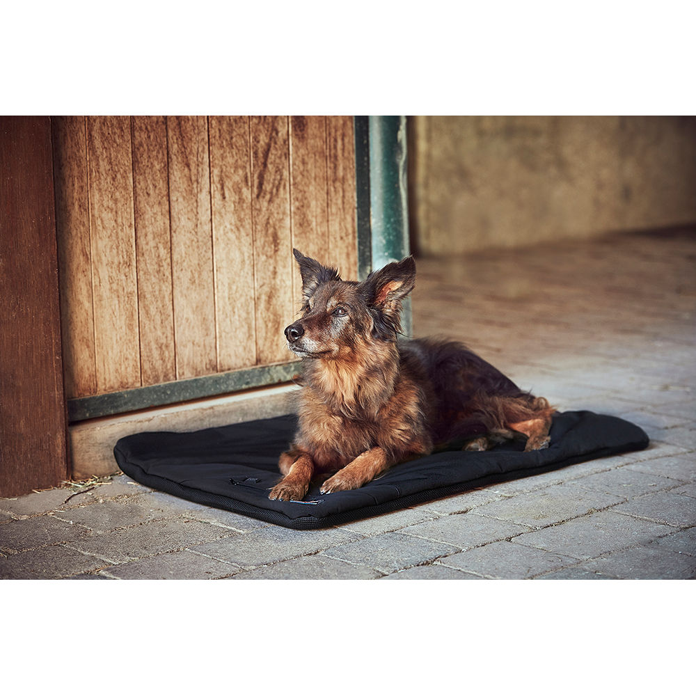 Catago FIR-TECH Pro Dog Pillow