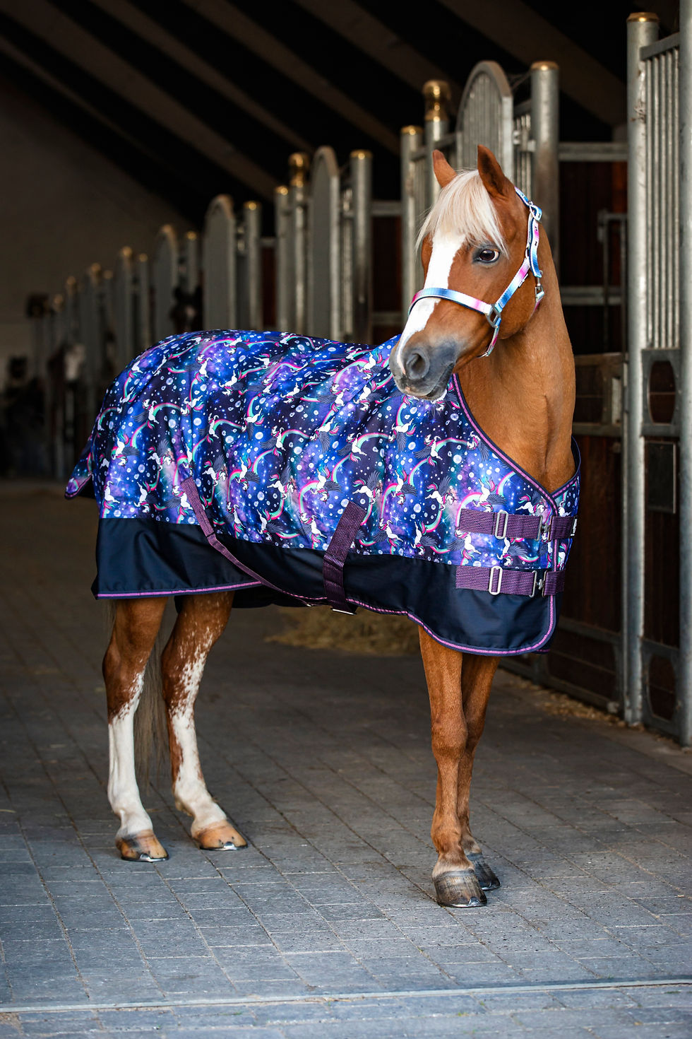 HG Josh Turnout rug 600D 100g