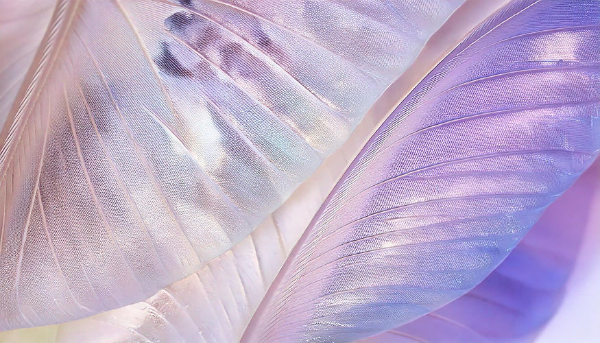 Firefly holographic silky buterfly wings pattern over a white background, super shiny, pas