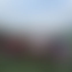 Athena Glasgow Awarded £1,000 from ASDA Foundation to Boost Local Football Opportunities