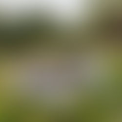 Abendliches Generationenshooting im Naturpark Thal