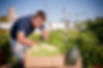 YPNGardens3.jpg