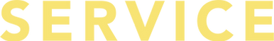 SERVICE 386_3x.png