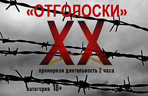 Отголоски -афиша для видео.png