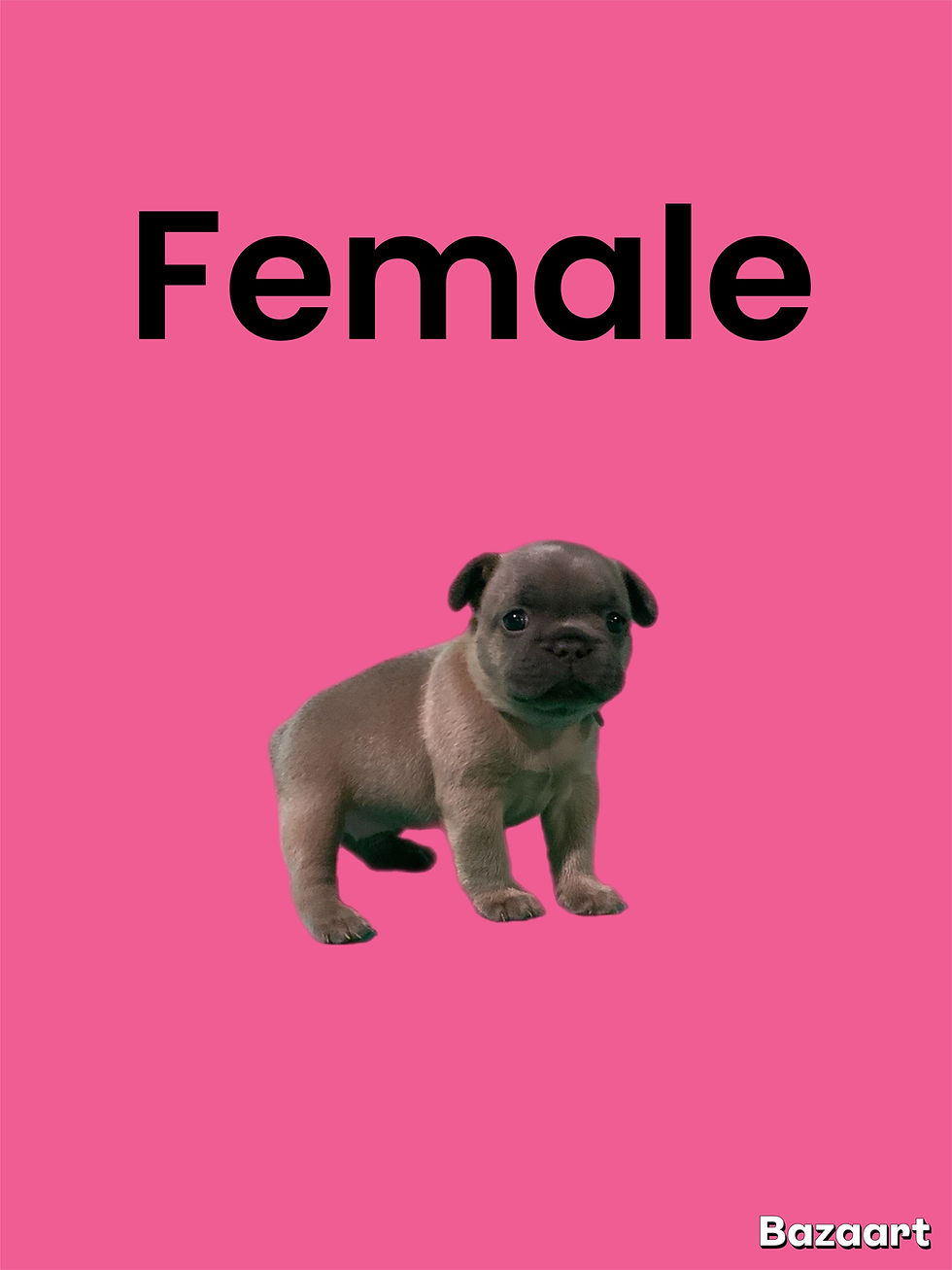 Thumbnail: female Sold