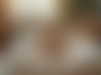 How to Prepare for a New Puppy