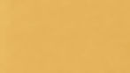 Background yellow.jpg