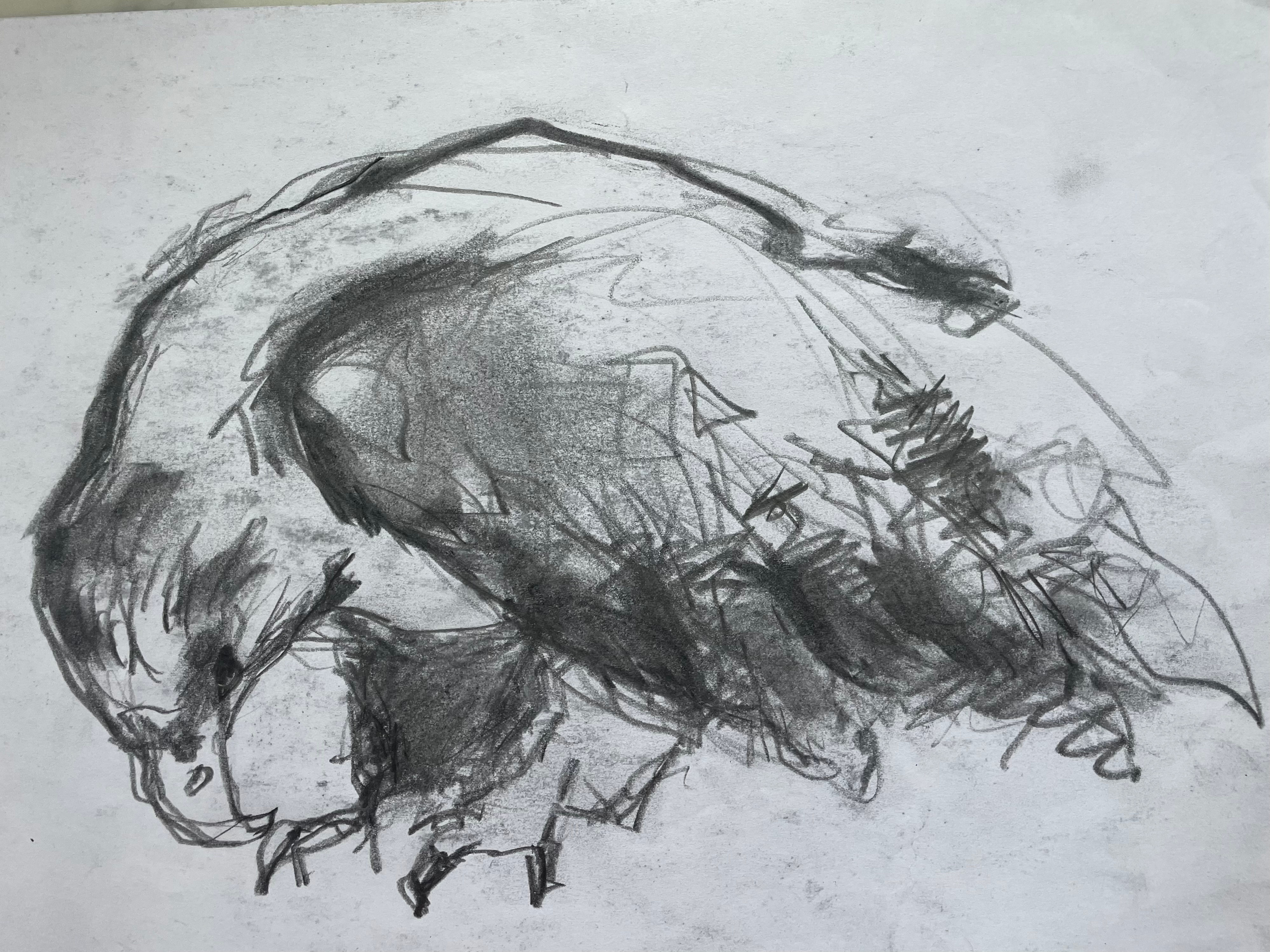 Charcoal on paper