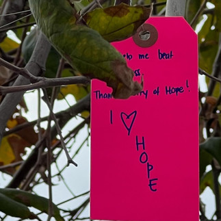 Handwritten note sharing my hopes with others at City of Hope Orange County