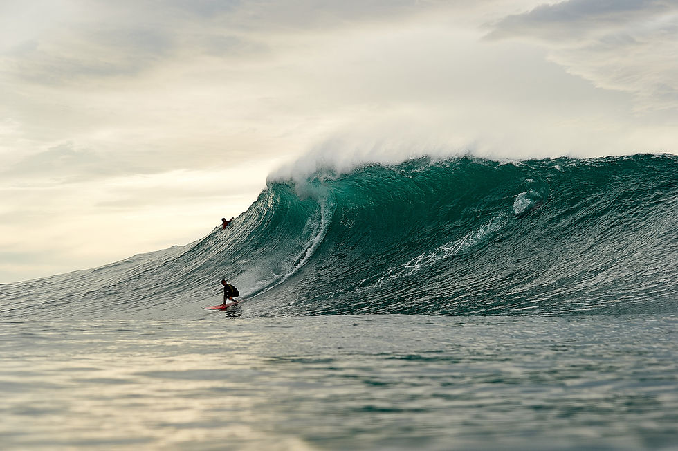 Brett-Burcher_Spot-X_WEB
