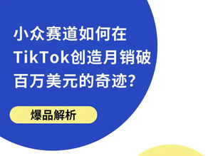 爆品解析 | 小众赛道如何在TikTok创造月销破百万美元的奇迹?