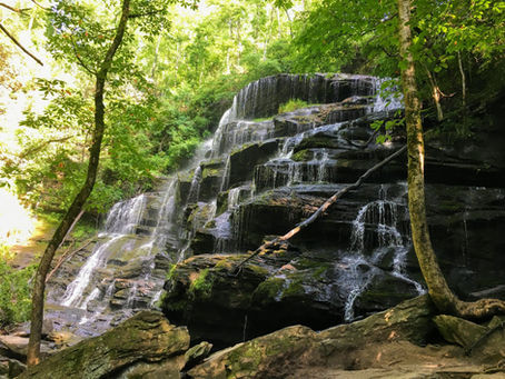 Discover Yellow Branch Falls