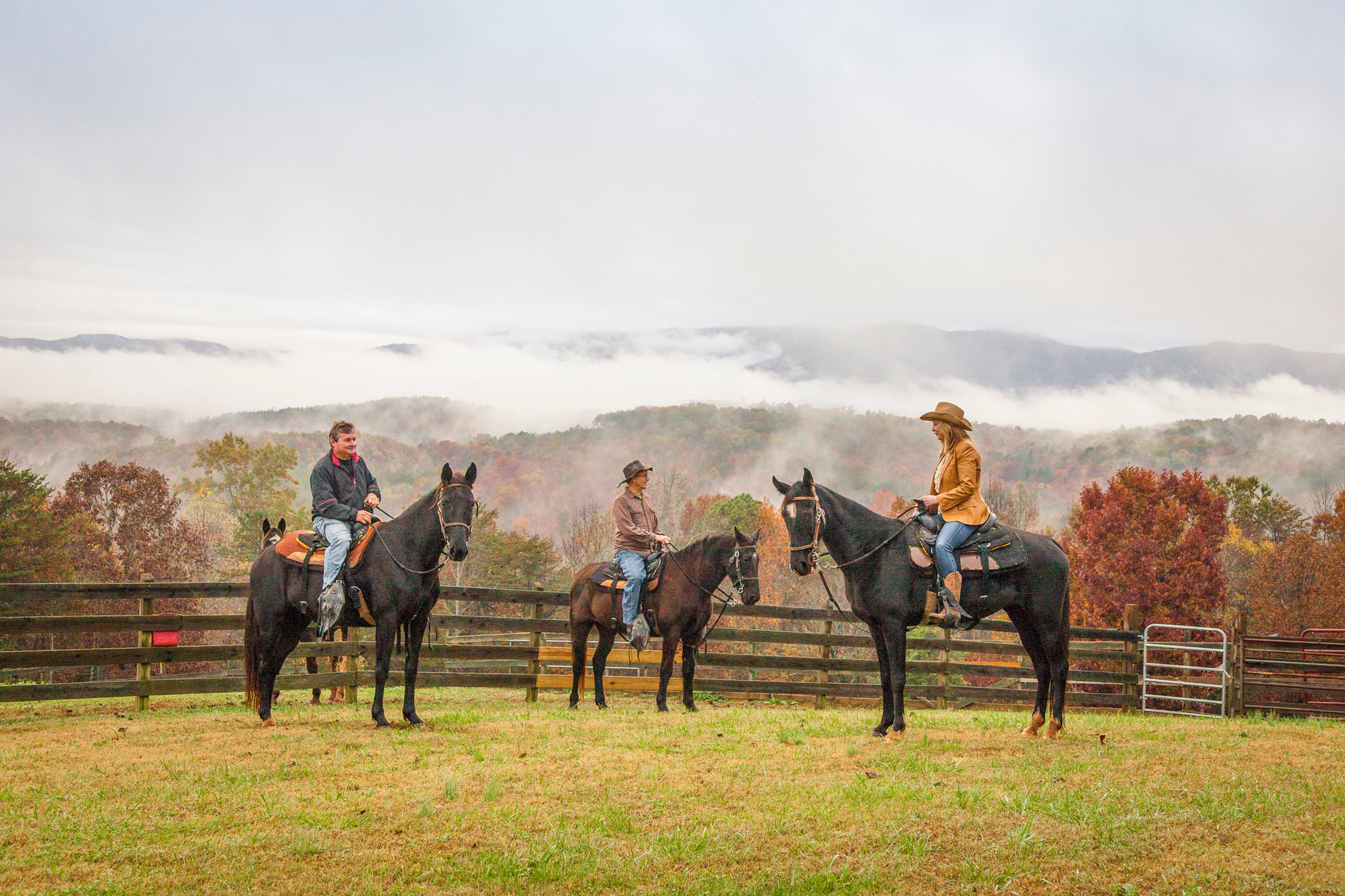 Horseback Riding Lake Hartwell Country South Carolina Mountains