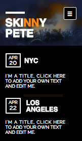 dj web template