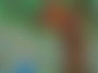 🇫🇷 Introduction