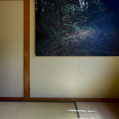 Photo installation frederic leyre kyoto japan traditional house tatami japan interior photo panel tree old cedar meditative mood