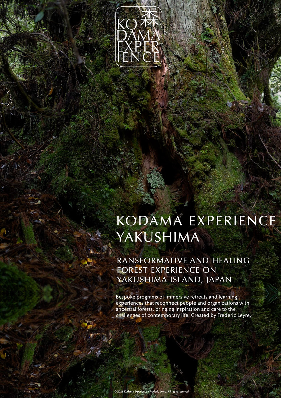 KE Yakushima COUV.jpg
