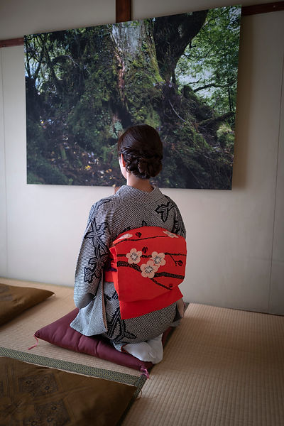 Photo installation frederic leyre kyoto japan traditional house tatami japan interior photo panel tree old cedar meditative mood beautiful japanese woman in kimono orange belt gray dress white socks sitted on purple cushion