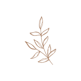 image3 (2).png