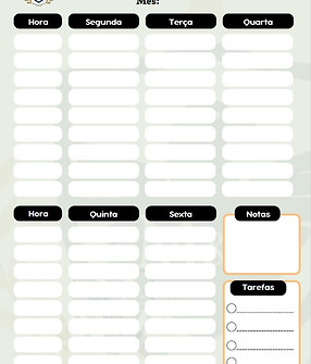 Captura de tela 2025-09-27 132843.jpg