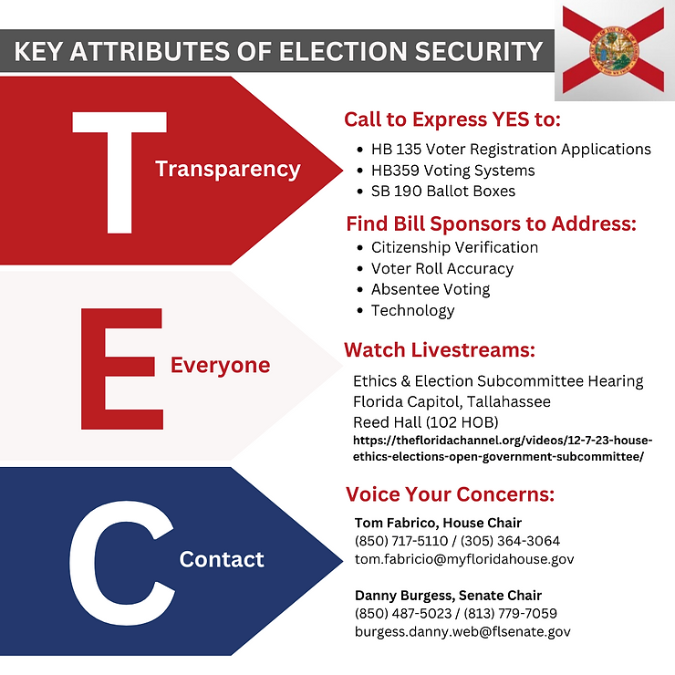 election security in florida