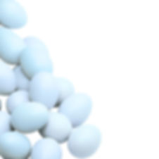 egg-background.jpg