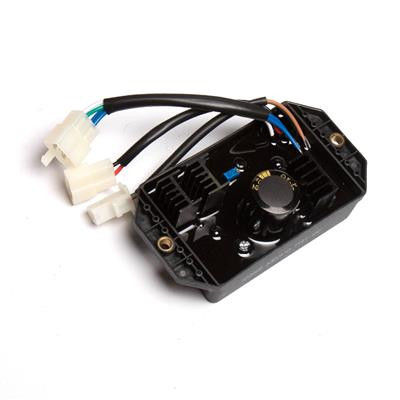 Champion Automatic Voltage Regulator.jpg