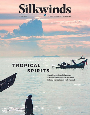 Cover Silkwinds An Ancient Craft.jpg