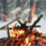 Forest Adventure Day!!!