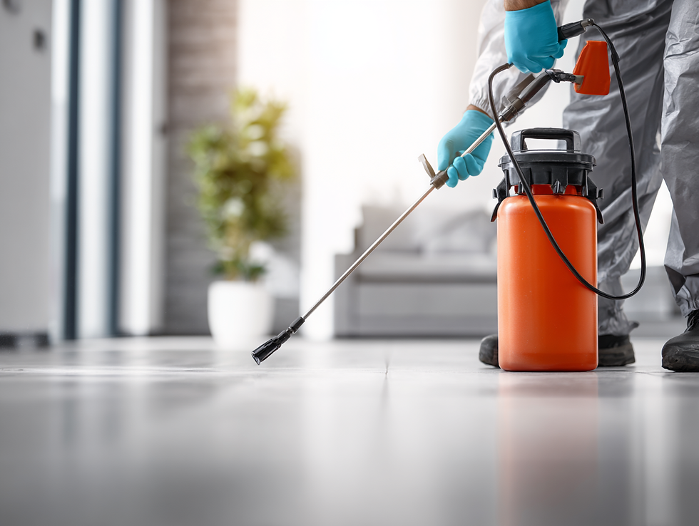 asesorcreativo_A_realistic_high-quality_advertising_photo_sho_f23795a6-521a-4358-9f47-b57d