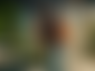 Técnico profesional de control de plagas realizando fumigación ecológica en una vivienda moderna, con luz natural y plantas tropicales, usando equipo de protección con colores naranja y azul.