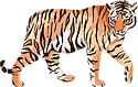 虎