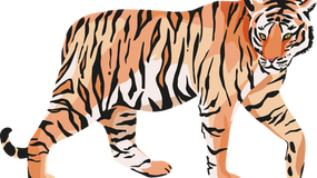 International Day of the Tiger