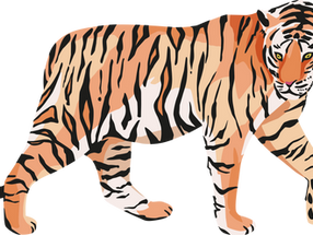 2022 : l'année du Tigre d'Eau (nouvel an chinois)
