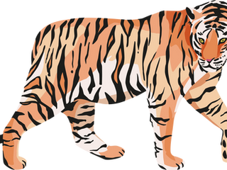 Tiger by Eva Clemenson Year 6