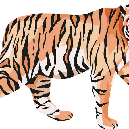 2022 : l'année du Tigre d'Eau (nouvel an chinois)