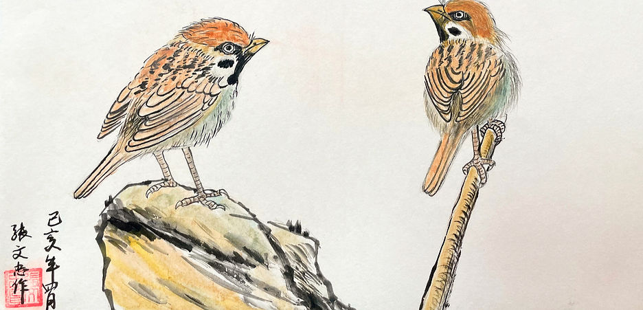 IMG_6461 3_edited_edited_edited_edited_edited.jpg