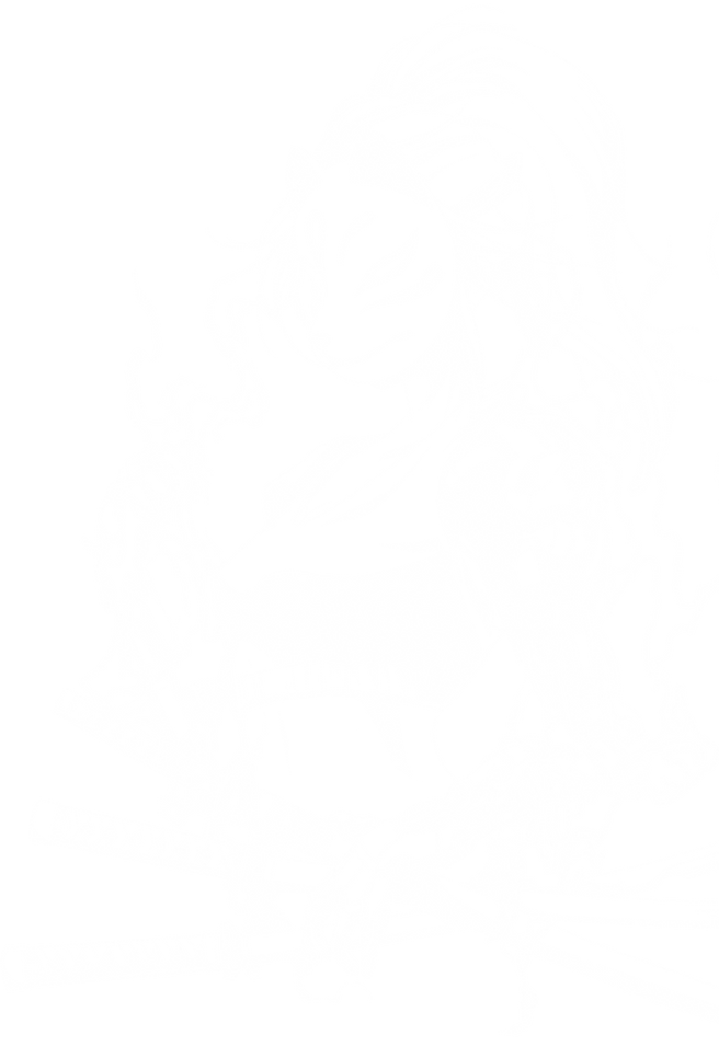 NEXUS - Cyberpunk Kitsune outline-min_edited.png