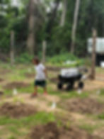 Cedar Bear Hauling Water