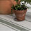 Thumbnail: Weston Stripe Tablecloth - Fern