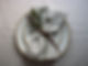 natural stripe cotton napkin placed on a ceramic plate with a leather tie and sprig of olive
