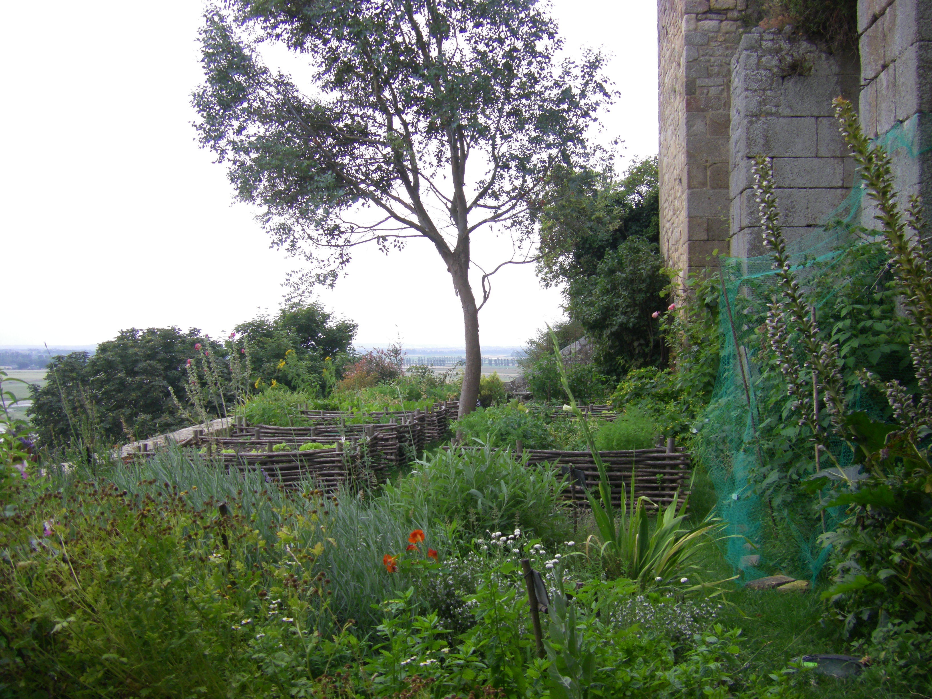 parcopaysage Aménagement jardins Mont Saint Michel