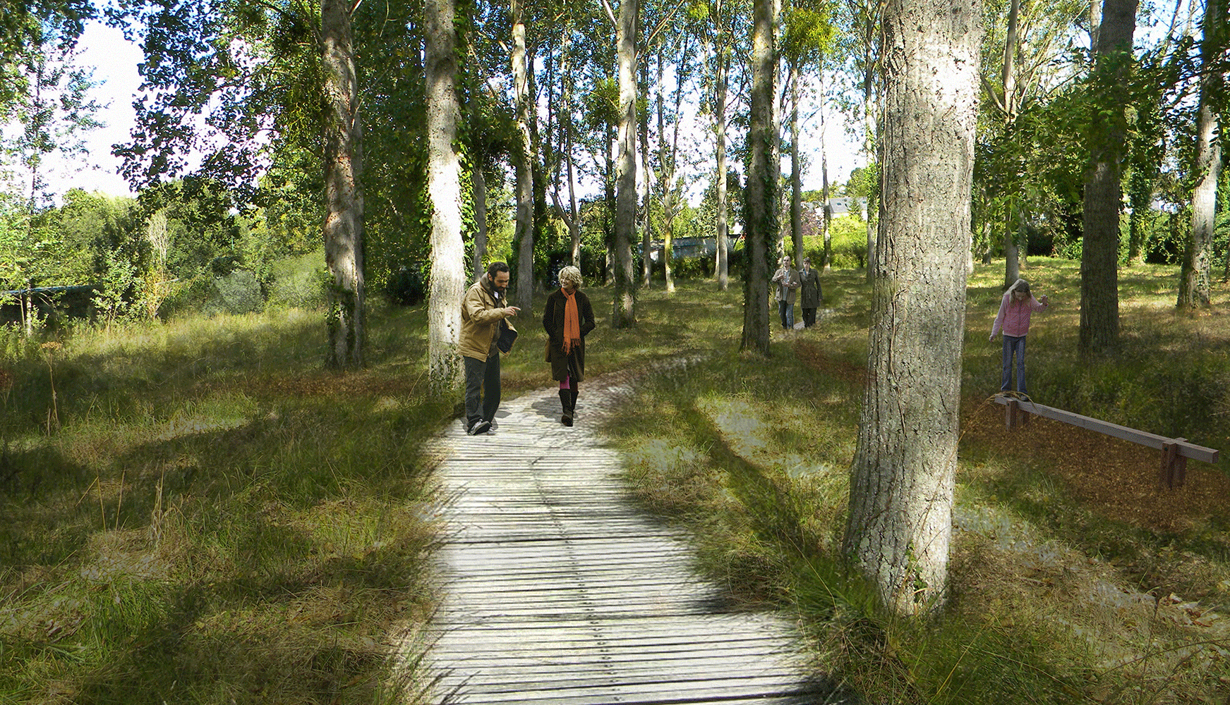 Platelage sous peupleraie