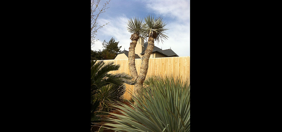 Malouinière MaYa - Cancale
