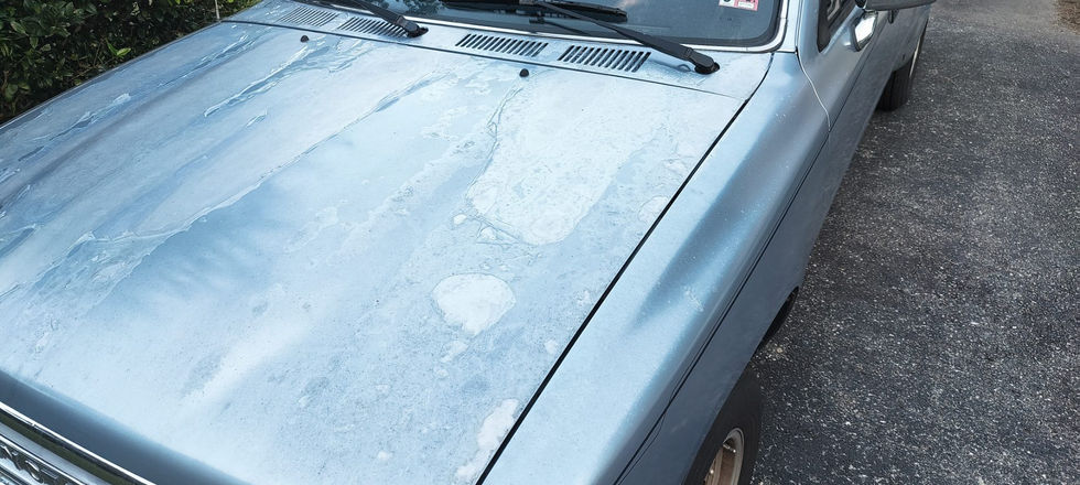 -4514371159571257979