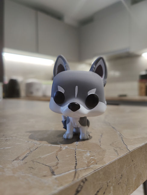 IMG_20201127_104749 (1).jpg