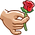 RoseOffer.png