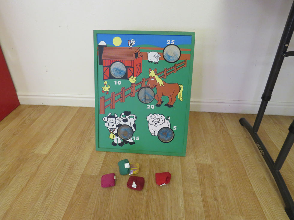 Bean Bag Toss